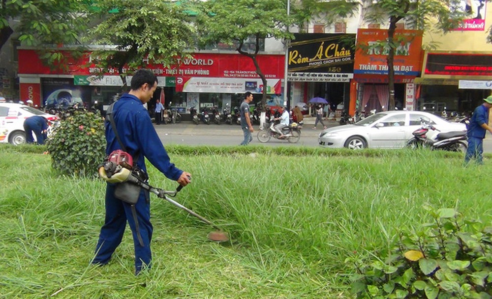 Dịch vụ phát hoang cỏ dại của An Khang