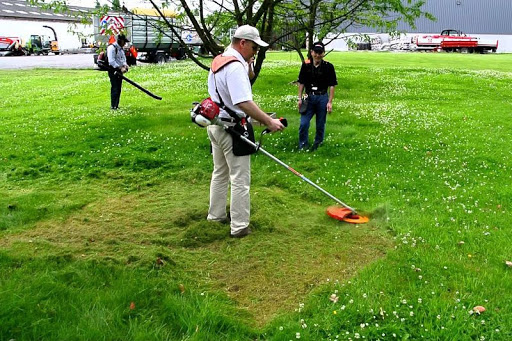 Dịch vụ cắt cỏ tại KCN Phú Mỹ
