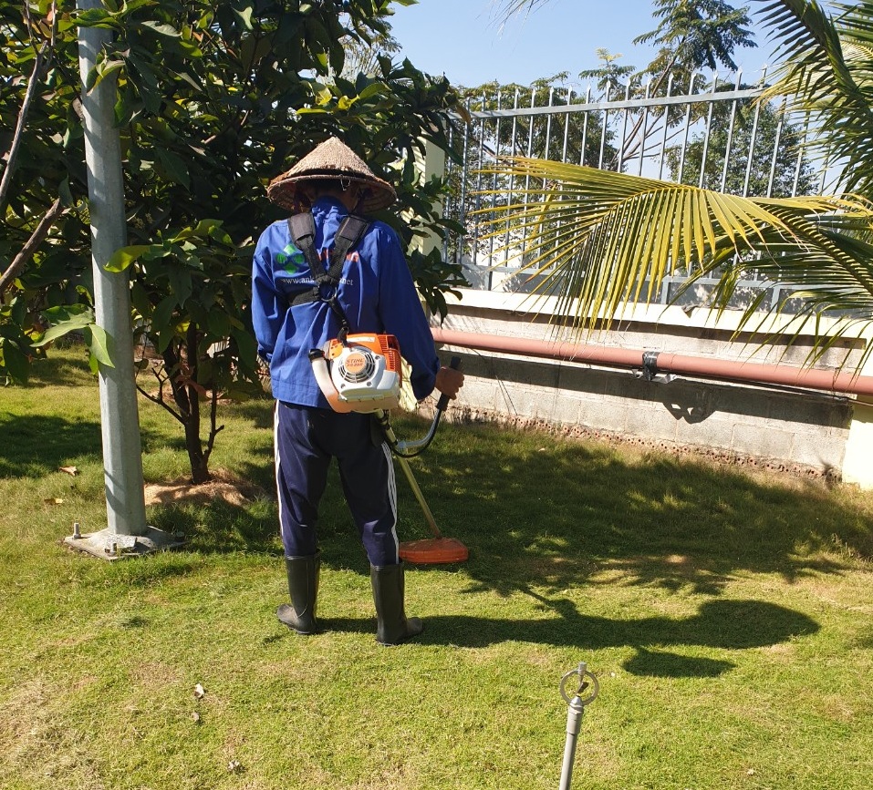 Dịch vụ cắt cỏ KCN Mai Trung giá rẻ