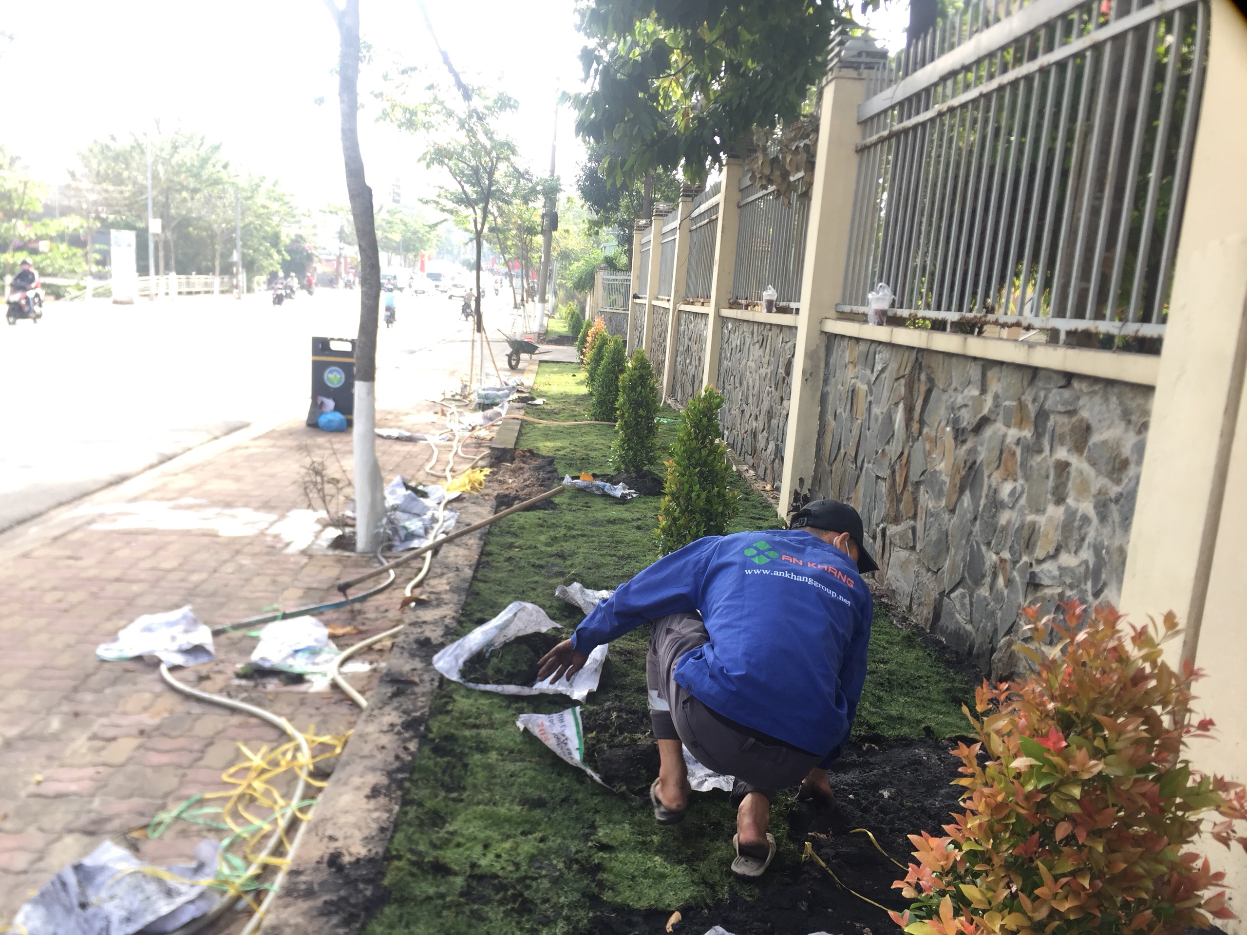 Nhân viên An Khang thực hiện dịch vụ trồng cỏ