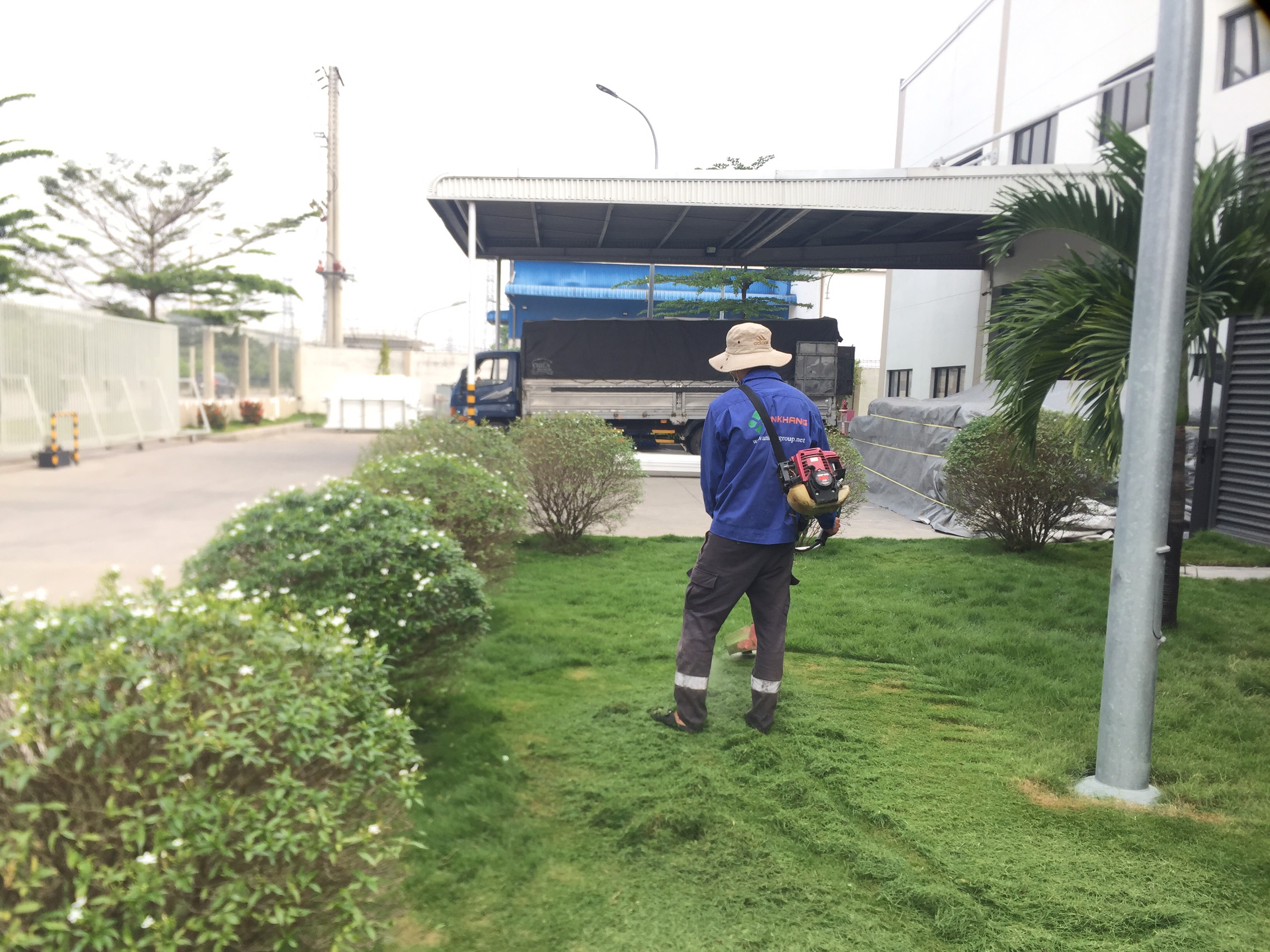 Dịch vụ phát hoang cỏ dại tại khu công nghiệp Bình Dương