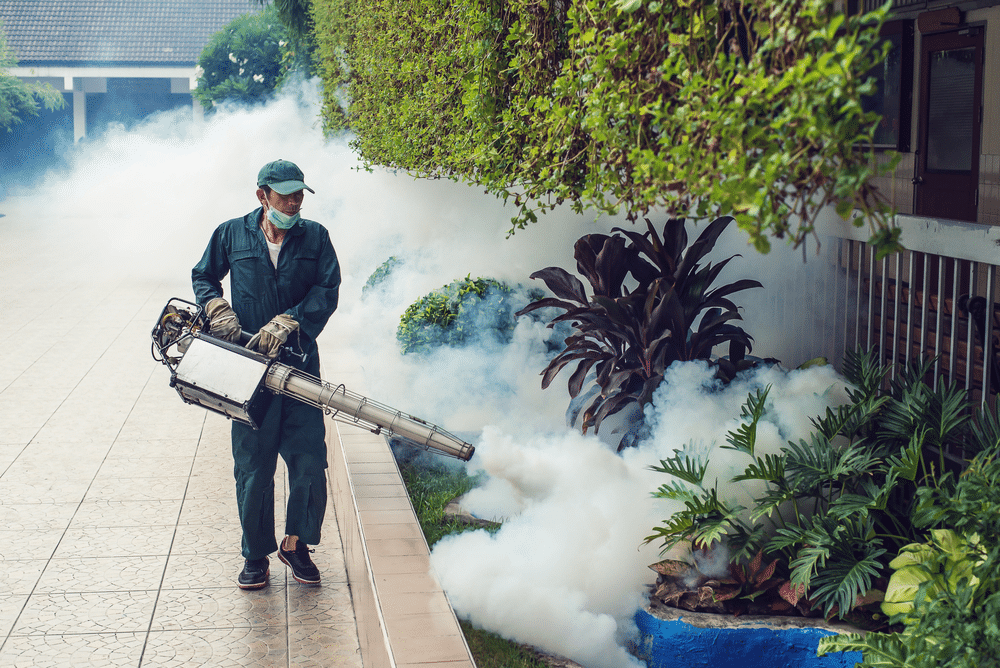 Dịch vụ diệt côn trùng tại KCN Đồng An