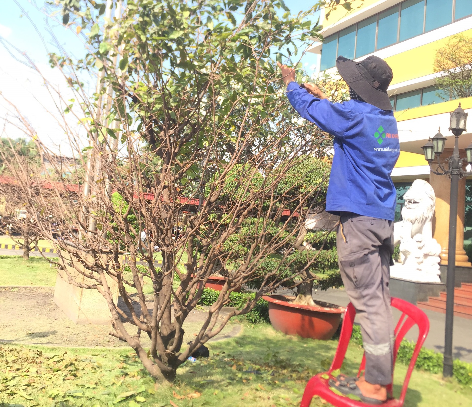 An Khang thực hiện chăm sóc cây xanh khu công nghiệp Đại Đăng