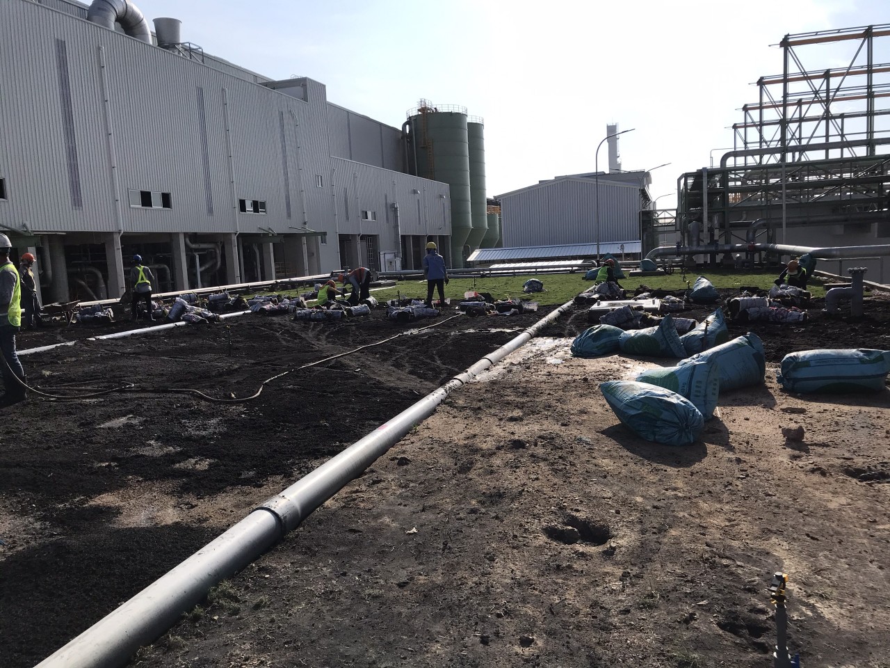 Quy trình dịch vụ trồng cỏ tại Khu công nghiệp của An Khang