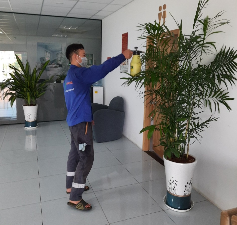 Dịch vụ cho thuê cây xanh văn phòng tại Tân Uyên chuyên nghiệp