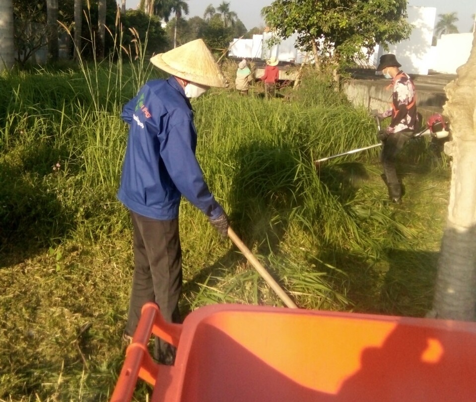 Thực hiện dịch vụ cắt cỏ KCN Việt Remax với An Khang