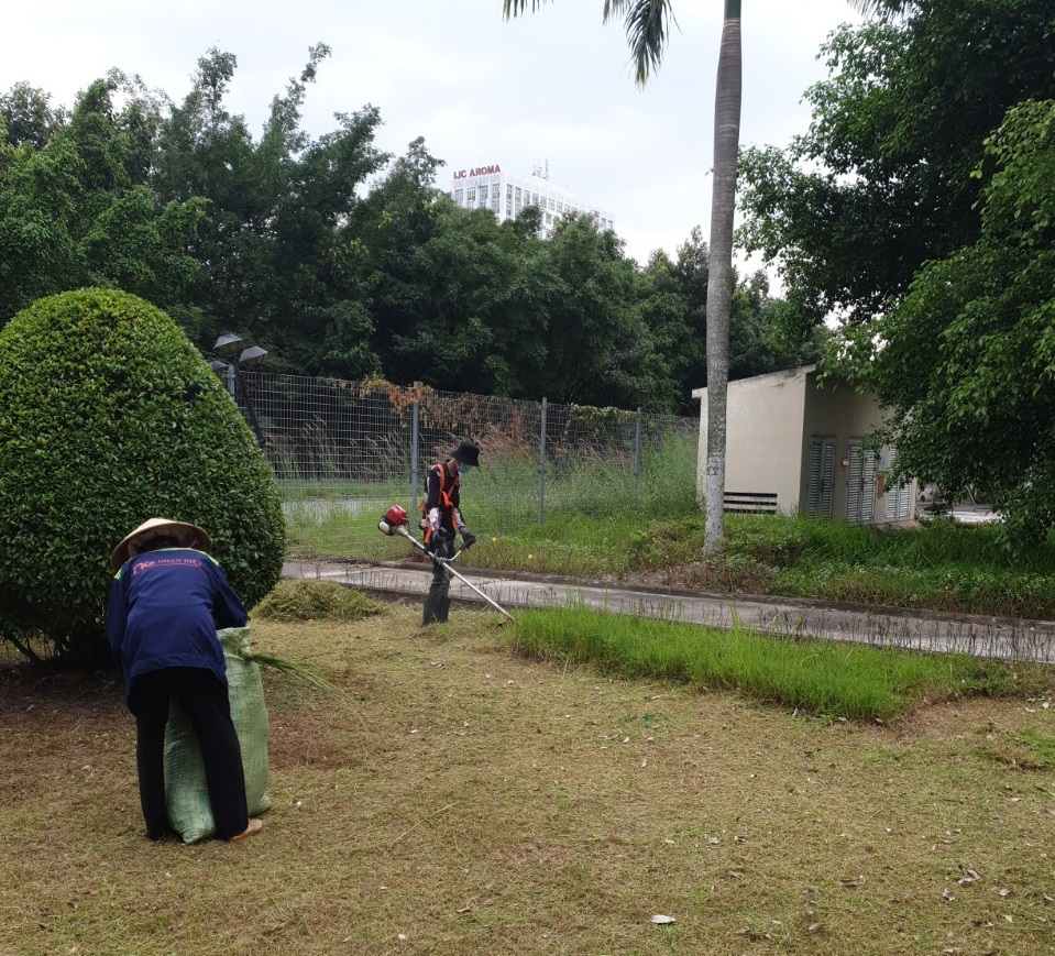 Cam kết về dịch vụ phát cỏ hoang tại Bình Phước của An Khang