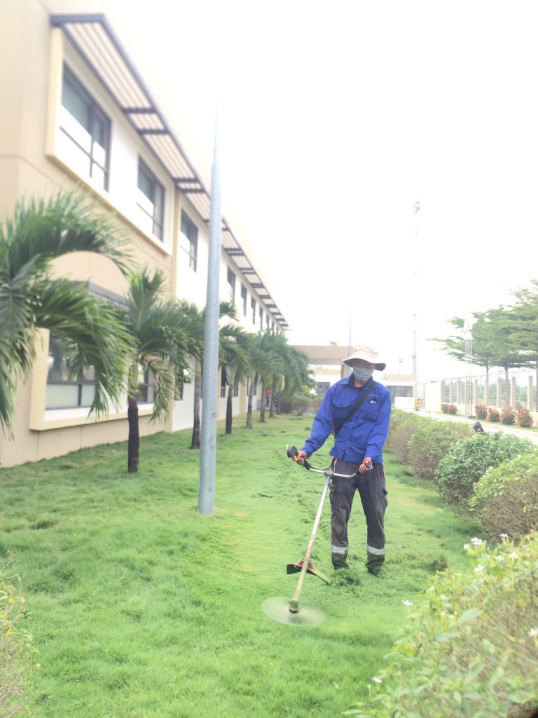 Dịch vụ cắt cỏ tại Bình Phước