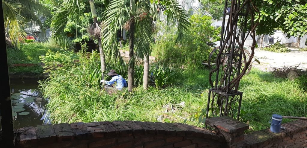 Dịch vụ phát cỏ hoang tại Bình Phước