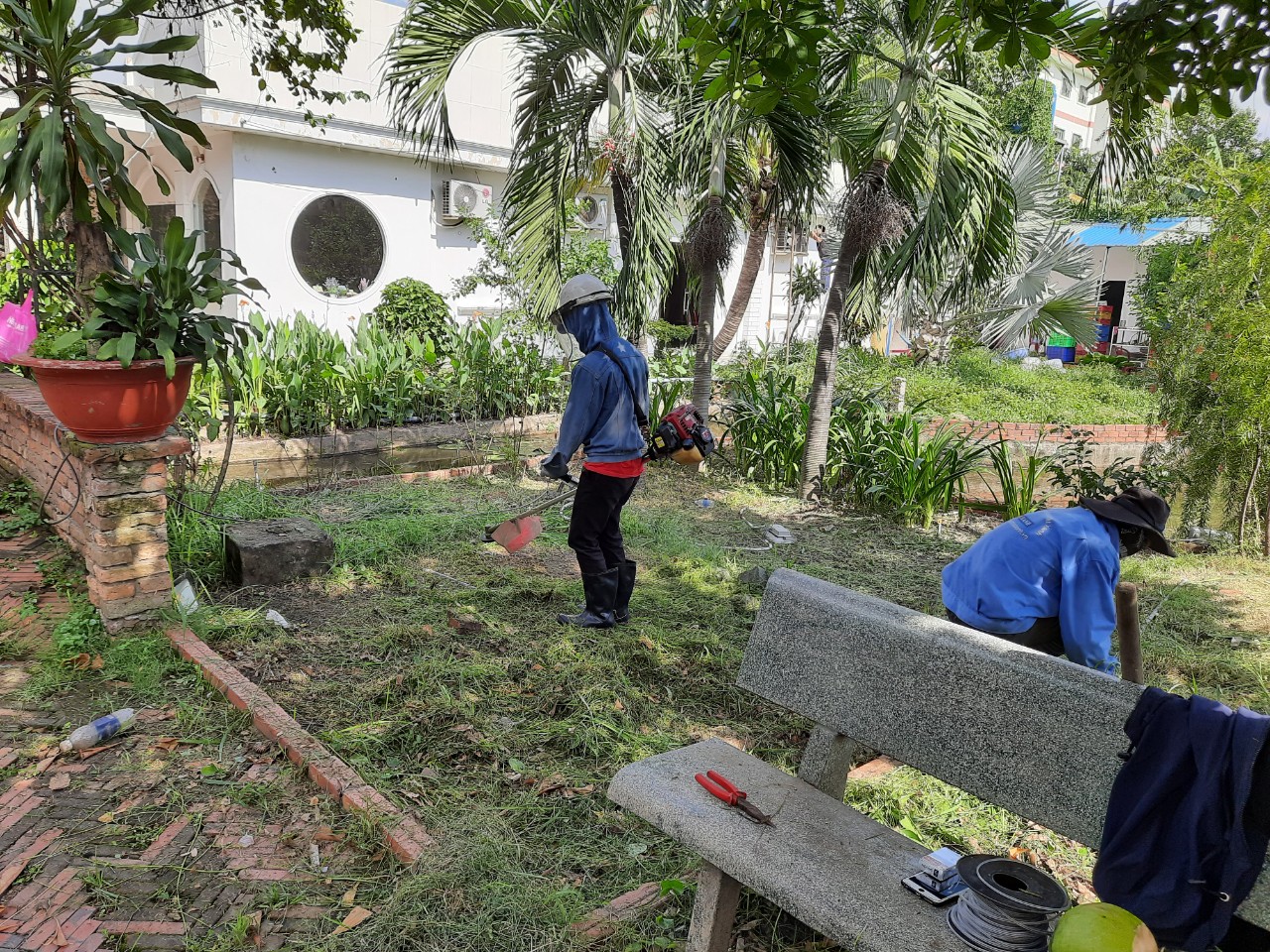 Dịch vụ phát cỏ hoang tại Bình Phước của An Khang