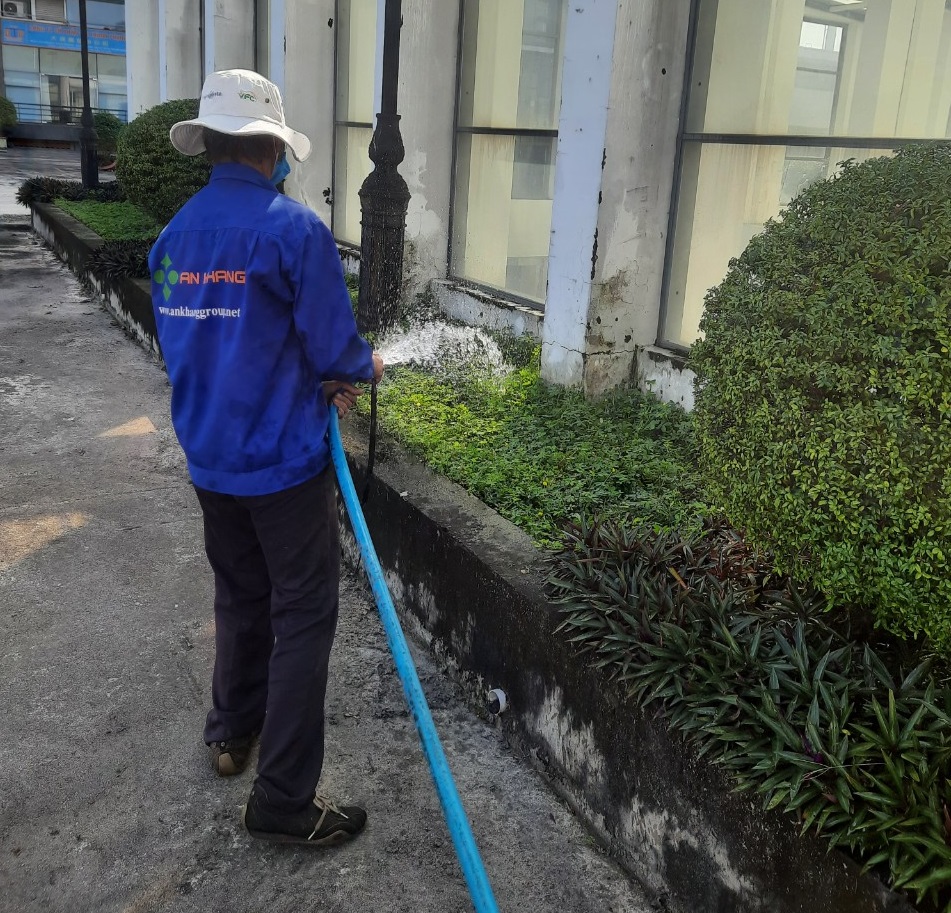 Dịch vụ trồng cỏ công trình Bình Dương gồm những gì?
