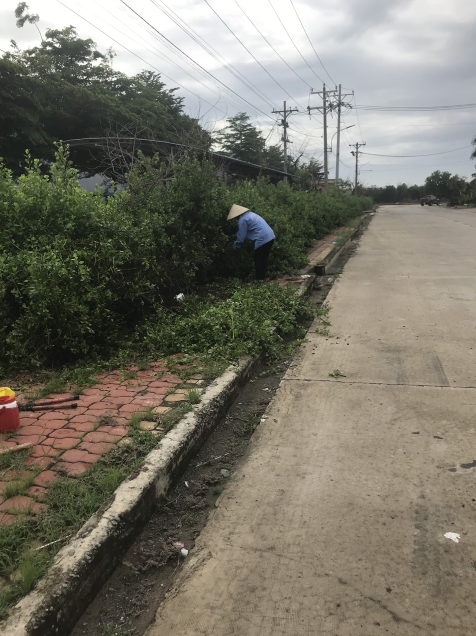 Dịch vụ phát cỏ hoang tại Bình Dương