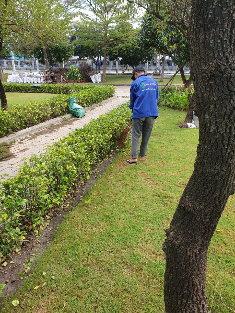 Dịch vụ chăm sóc cây xanh tại Thuận An Bình Dương của An Khang gồm những gì ?