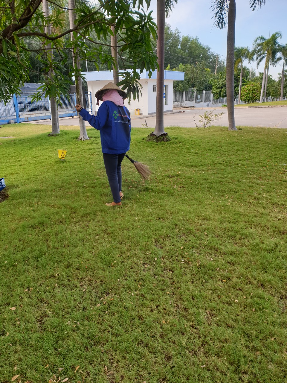 Dịch vụ chăm sóc cây xanh tại Thuận An Bình Dương