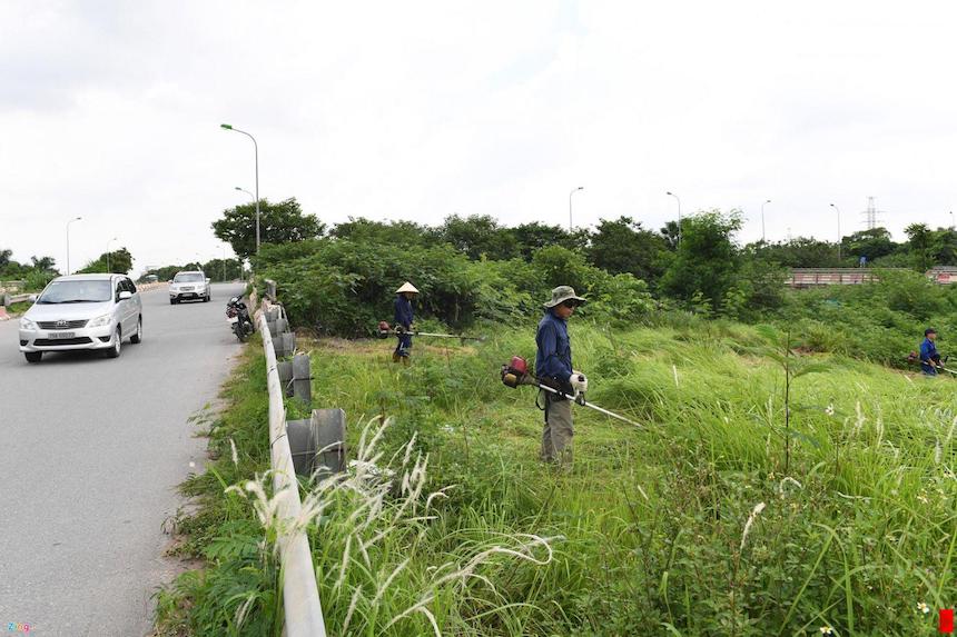 Các hình thức dịch vụ phát hoang cỏ dại tại An Khang