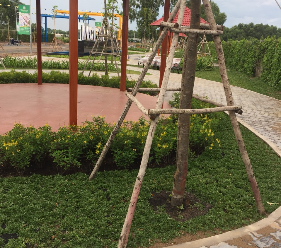 Quy trình thi công trồng cây xanh tại Đồng Xoài, Bình Phước