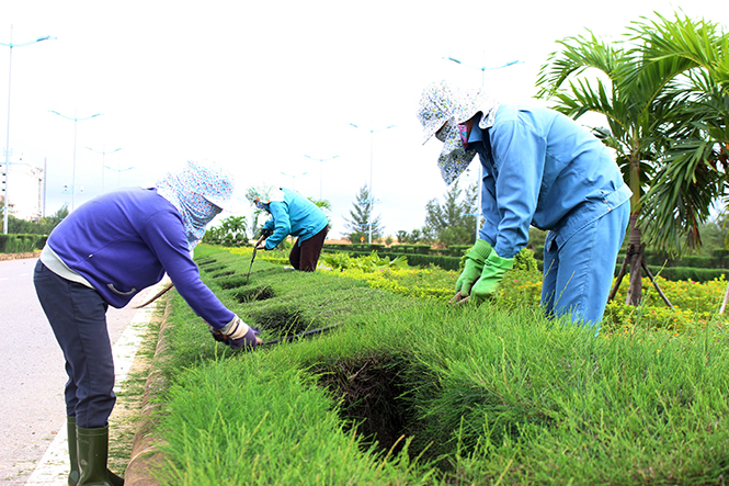 Những ưu điểm khi lựa chọn dịch vụ chăm sóc cây xanh ở Bình Long Bình Phước