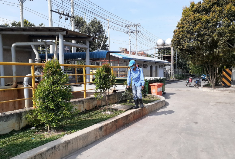 Chăm sóc cây xanh ở Chơn Thành Bình Phước