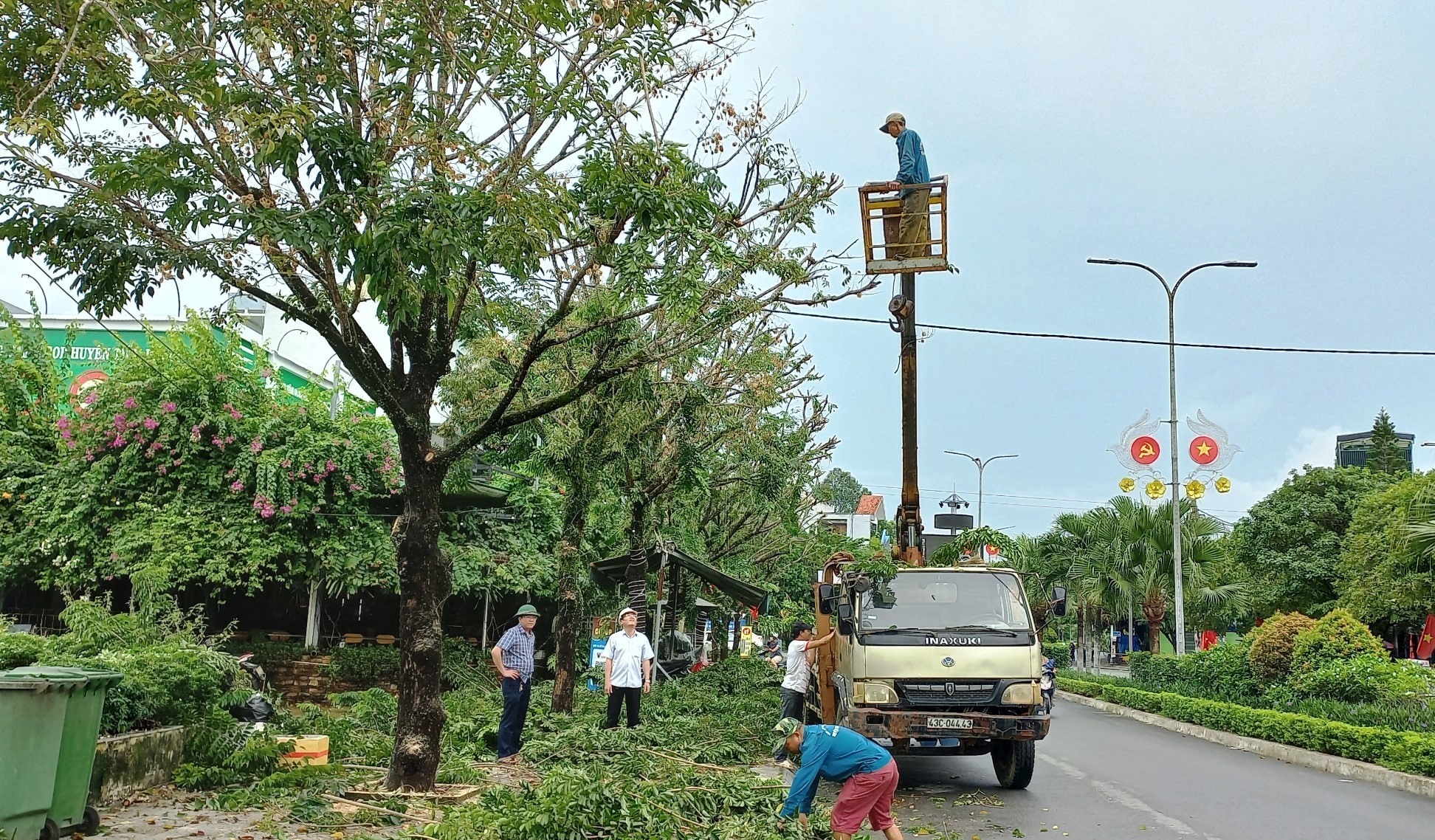 Chi tiết dịch vụ cắt tỉa cây xanh Bình Long Bình Phước