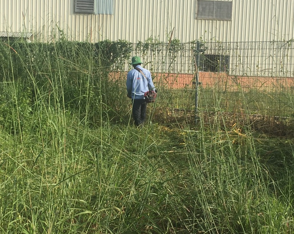 Lý do lựa chọn dịch vụ phát cỏ hoang ở Bình Long Bình Phước