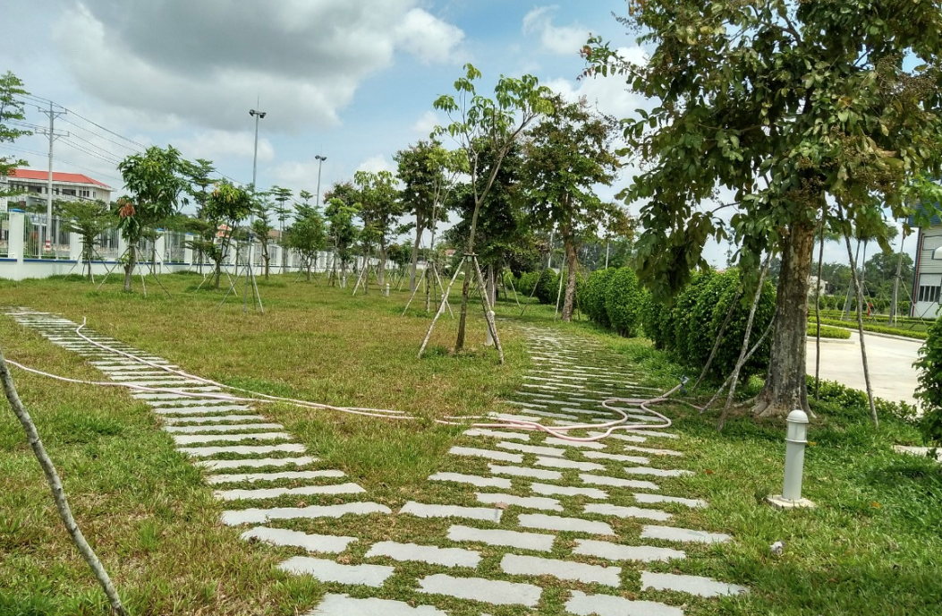 Dịch vụ trồng cây xanh tại Bình Long, Bình Phước của An Khang