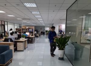 Cho thuê cây xanh văn phòng tại Phước Long Bình Phước giá rẻ