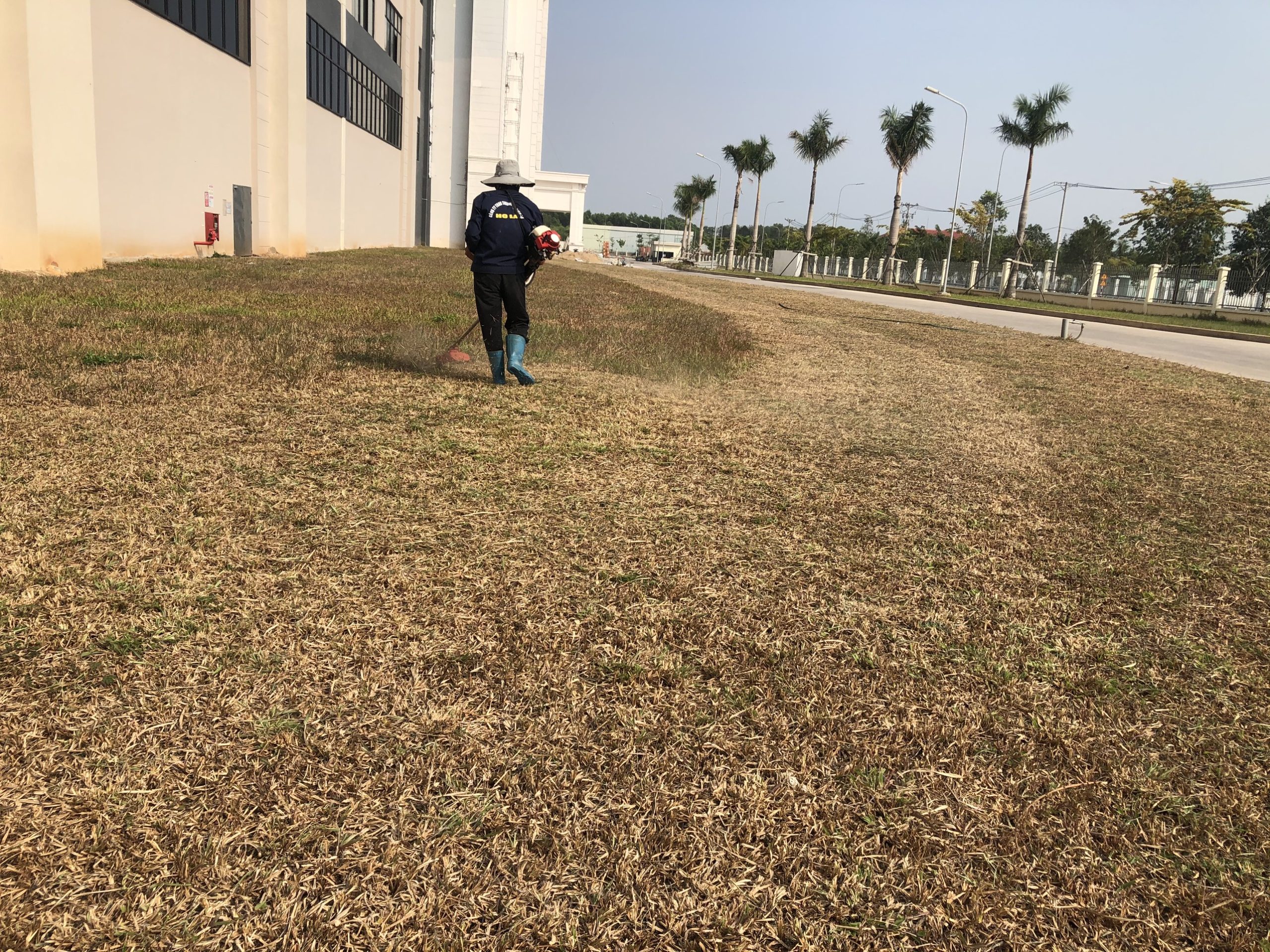 Dịch vụ cắt cỏ tại KCN Bàu Bàng của An Khang