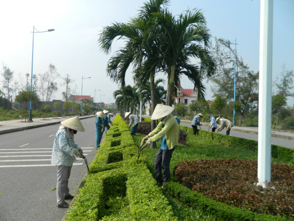 Đơn vị chăm sóc cây xanh tại KCN Bình Lập uy tín