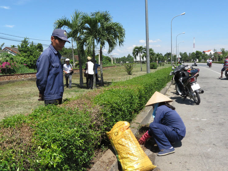 Lợi ích của việc chọn An Khang để chăm sóc cây xanh ở KCN Tân Lập