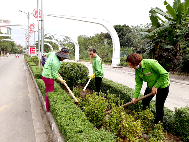 Dịch vụ chăm sóc cây xanh tại KCN Lai Hưng uy tín, chất lượng, tận tâm