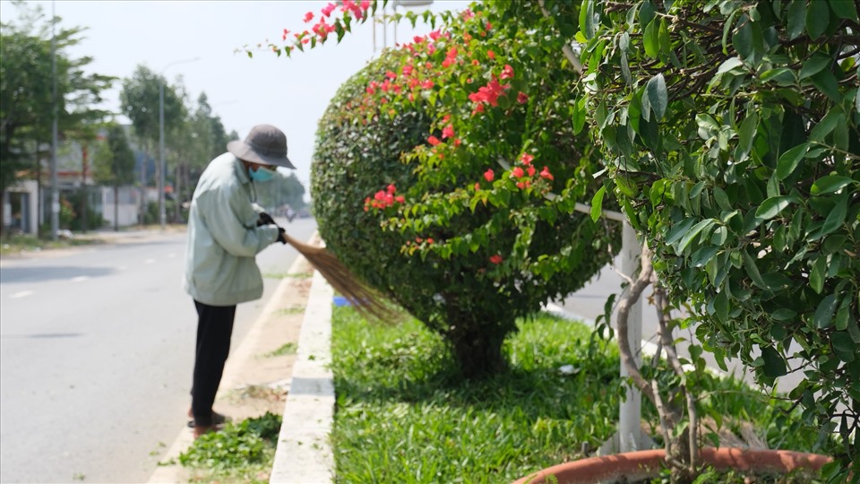 Một số loại hình chăm sóc cây xanh ở KCN Lai Hưng