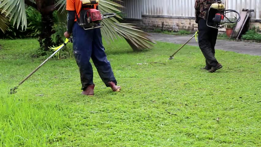 cắt cỏ tại Phú Giáo