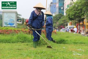 phát cỏ hoang tại Phú Giáo