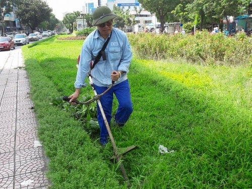 Dịch vụ cắt cỏ tại Hớn Quản của An Khang và những ưu điểm của chúng