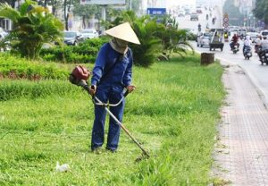 Quy trình của dịch vụ cắt cỏ tại Lộc Ninh là: