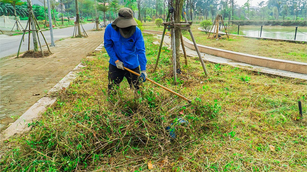 dịch vụ phát cỏ hoang tại Long An