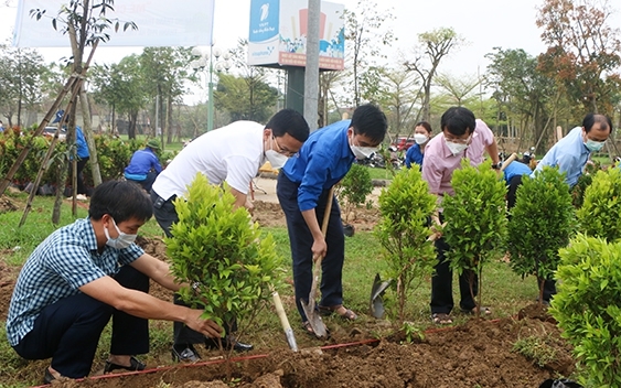 Dịch vụ trồng cây xanh tại Long An