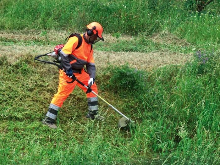 Bảng giá dịch vụ phát cỏ hoang
