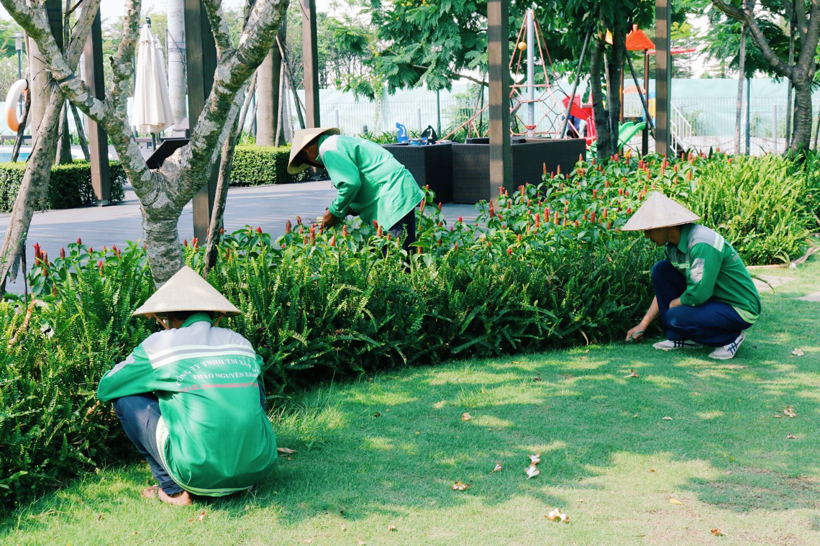 Thi công cảnh quan