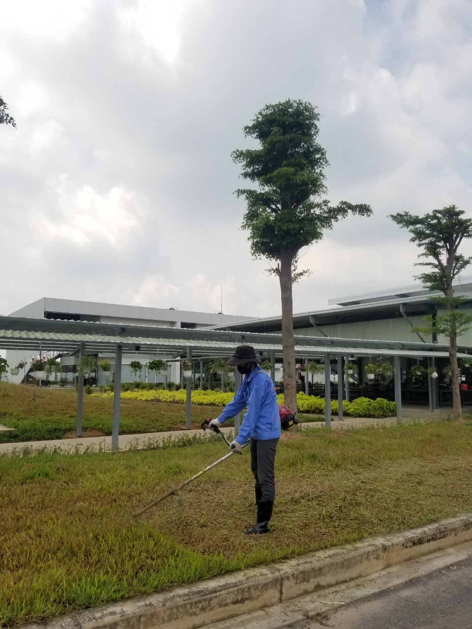 Quy trình cắt cỏ tại An Khang Group