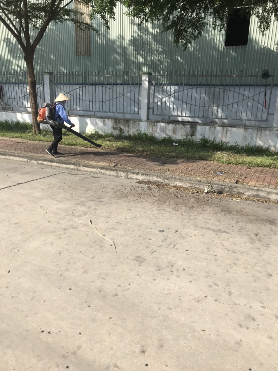 Dịch vụ phát cỏ hoang chuyên nghiệp