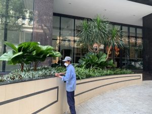 Dịch vụ trồng cây xanh Trảng Bàng Tây Ninh