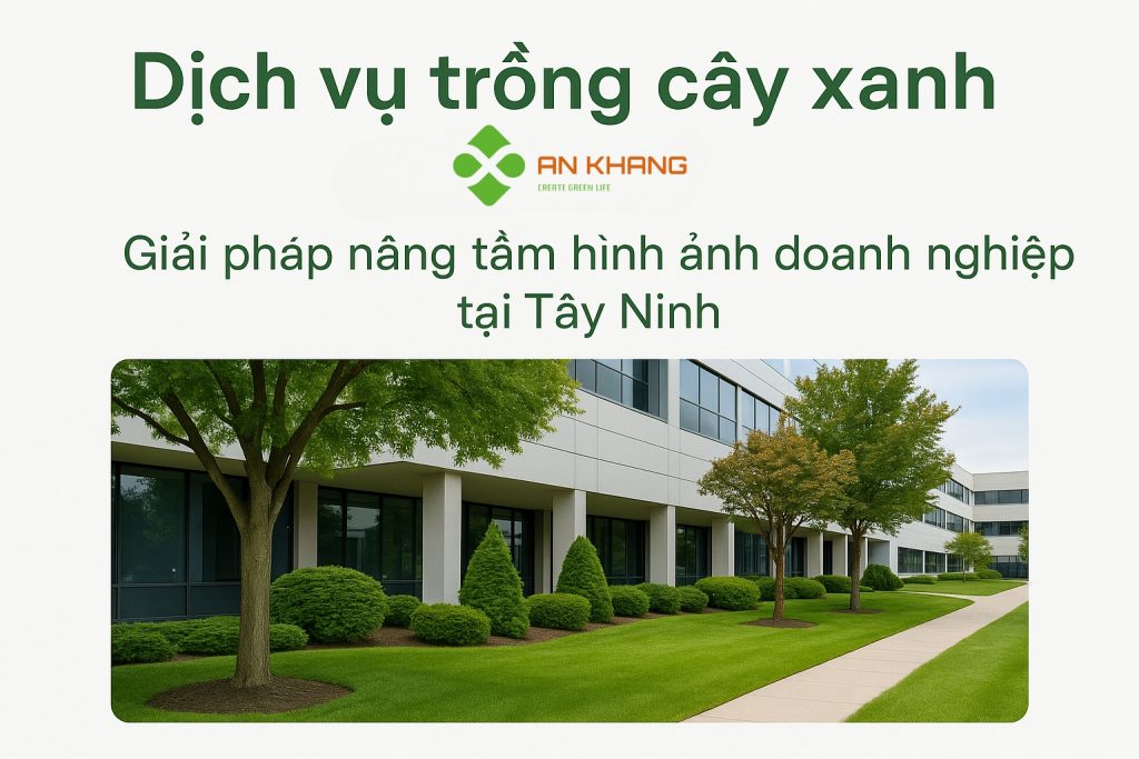 Dịch vụ trồng cây xanh Tân Châu