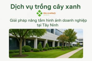 Dịch vụ trồng cây xanh Tân Châu