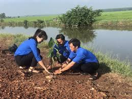 Trồng cây xanh tại Châu Thành