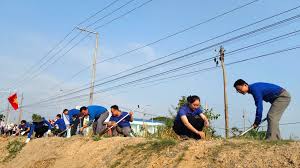 Trồng cây xanh tại Châu Thành