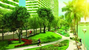 Ứng Dụng Phổ Biến Của Dịch Vụ Cắt Tỉa Cây Xanh