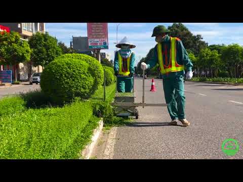 Phát Cỏ Hoang Tại Châu Thành