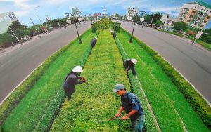 Ứng dụng phổ biến của dịch vụ dọn cỏ hoang
