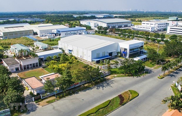 dịch vụ trồng cây xanh hòa thành 